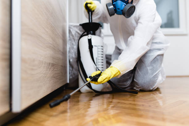 Best Affordable Pest Control Services  in Greenhills, OH